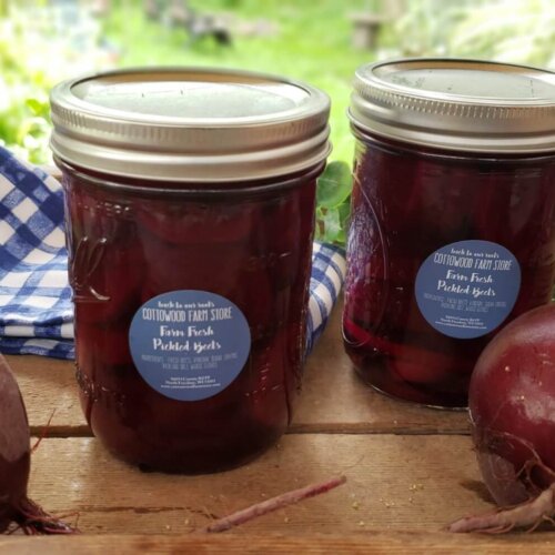 PIckled Beets